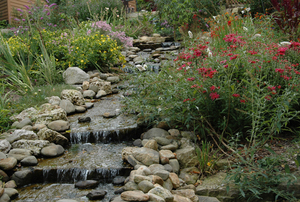 Hummer Haven